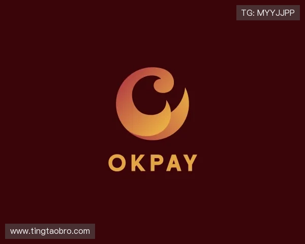 了解OKPAY钱包