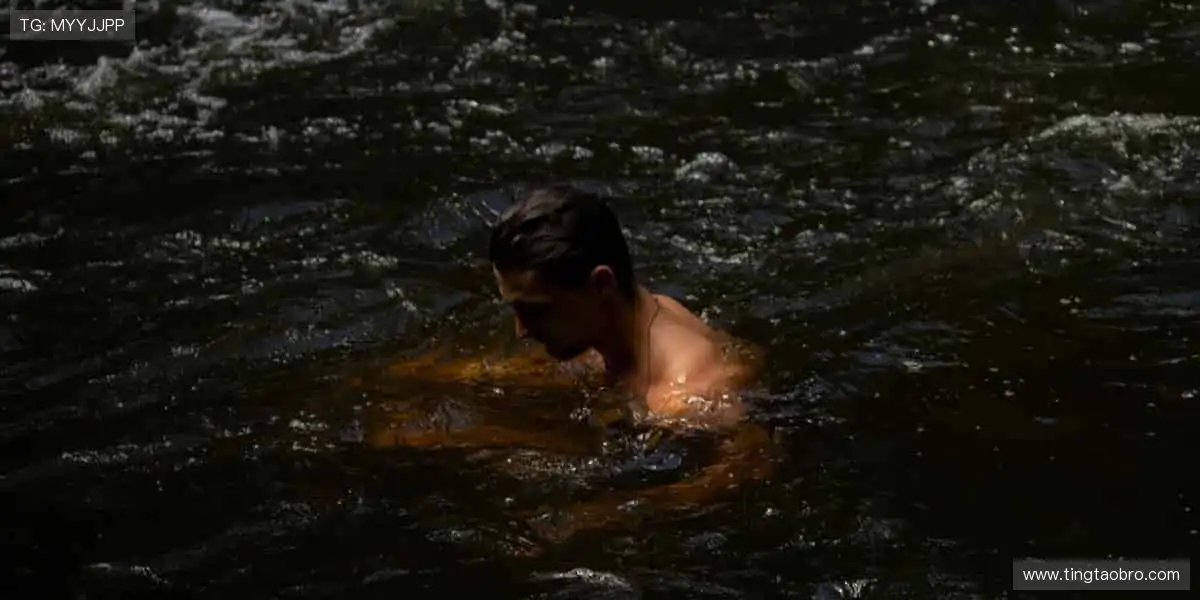 高清直播，锁定每一刻精彩！📺